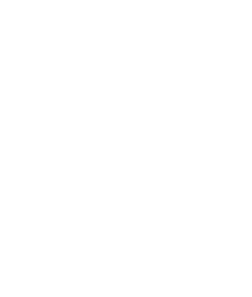 Teamviewer Logo